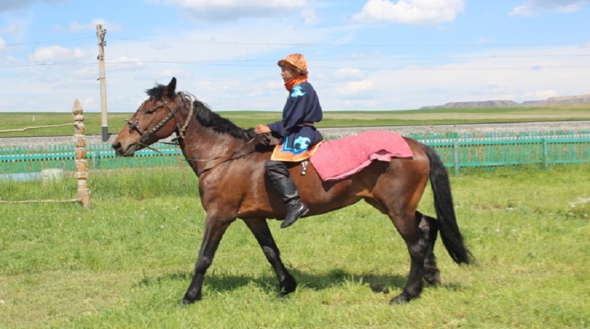Искусные наездники телеуты