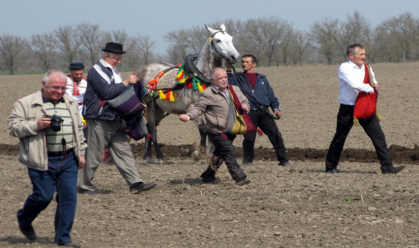 Обряд первой борозды